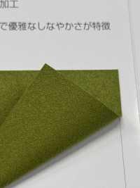 ATTESA R [布料] 長井撚線 更多照片