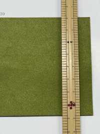 ATTESA R [布料] 長井撚線 更多照片