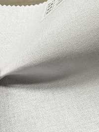 P1650N 棉聚酯纖維點芯[襯布] 無製造商名 更多照片