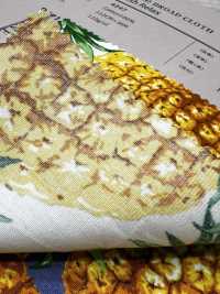 4247 平紋布時尚放鬆菠蘿[布料] VANCET 更多照片