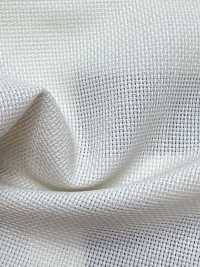 50505 [布料] VANCET 更多照片