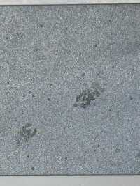 M-8912-PKK M-8912 Scotchlite 鋸齒狀鑲邊[緞帶、帶、繩子] 明星品牌（Hoshika） 更多照片