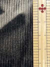 DCL115-SF 14W T/C燈芯絨裝飾[布料] 雲井美人（中部別珍） 更多照片