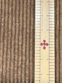 ND7035 棉/莫代爾 9W燈芯絨Nidom 生物處理[布料] 雲井美人（中部別珍） 更多照片