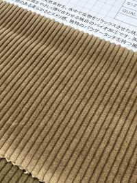 ND7025 Shankar 9W 有機燈芯絨生物加工[布料] 雲井美人（中部別珍） 更多照片