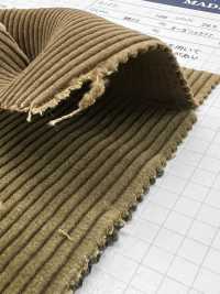 ND7025 Shankar 9W 有機燈芯絨生物加工[布料] 雲井美人（中部別珍） 更多照片