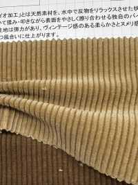 ND7005 9W 燈芯絨燈芯絨Nidom 生物處理技術[布料] 雲井美人（中部別珍） 更多照片