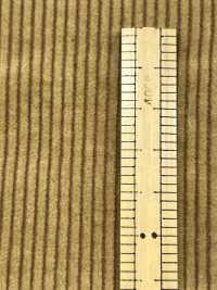 ND7005 9W 燈芯絨燈芯絨Nidom 生物處理技術[布料] 雲井美人（中部別珍） 更多照片