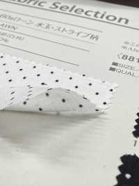 B88191Z 60線精紡細布布，波點條紋圖案，對折[布料] VANCET 更多照片