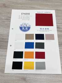 7420 陽離子雙向網布[布料] 更多照片