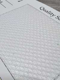 DM710 起絨網布[布料] 更多照片