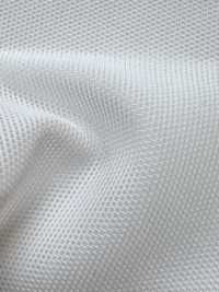 AP82220 彈性網布[布料] 更多照片