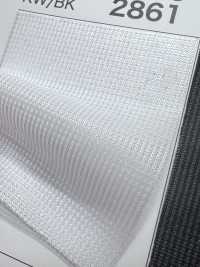 2861 [裡料] 更多照片