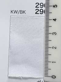 2961 [裡料] 更多照片