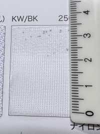 2050M [布料] 更多照片