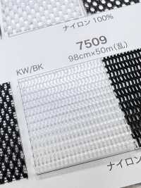 7509 [裡料] 更多照片