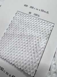 800 [裡料] 更多照片