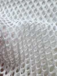 800 [裡料] 更多照片