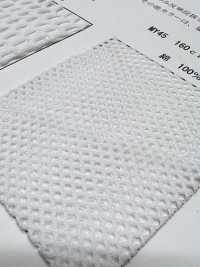 MY45 [裡料] 更多照片