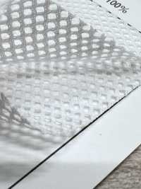 MY45 [裡料] 更多照片