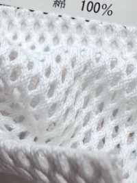 880 [裡料] 更多照片