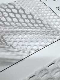 T800 [裡料] 更多照片