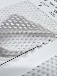 8800 [裡料] 更多照片