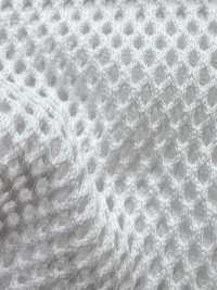 8800 [裡料] 更多照片