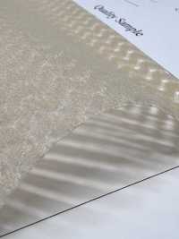 6400 [裡料] 更多照片