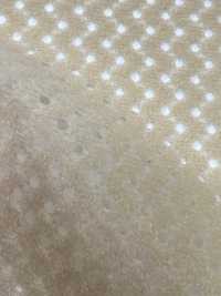 6400 [裡料] 更多照片