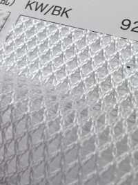 5197 [裡料] 更多照片