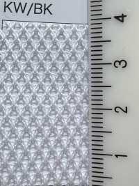 5197 [裡料] 更多照片