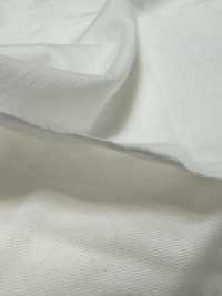 1078420-OUTLET ALBINI 海島棉質針織豚平針織物[布料] 瀧定名古屋 更多照片