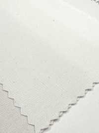 52720 Phillowa® 80/2平紋布[布料] 桑村纖維 更多照片
