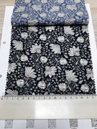 4027-680-2 80 精紡細布 Miracle Wave Threaded Sarasa[布料] HOKKOH北高 更多照片