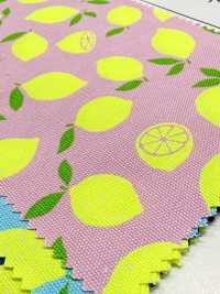 AP65103 螢光印花 牛津（整卷）[布料] Cosmo Textile 更多照片
