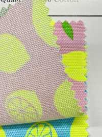 AP65103 螢光印花 牛津（整卷）[布料] Cosmo Textile 更多照片