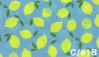 AP65103 螢光印花 牛津（整卷）[布料] Cosmo Textile 更多照片