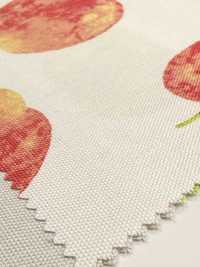 SP2650 Fruits Garden 牛津 (整卷)[布料] Cosmo Textile 更多照片