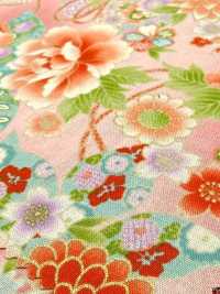 850628 平紋布 花卉金和風圖案 牡丹、菊、葵與鼓[布料] VANCET 更多照片