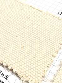 FKB01 富士金梅 棉1號帆布 坯布[布料] 富士金梅 更多照片