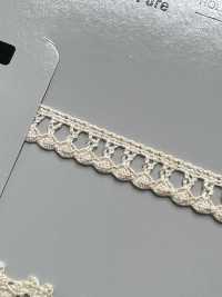 SIC-7327 有機棉扭力蕾絲/ 8mm 新道良質（SIC） 更多照片