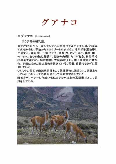 1676 日本製造的深木羊毛原駝毛混紡羊絨面料[布料] FUKAKI 更多照片
