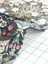 LP-6 草莓小偷 Cupra 銅氨印花裡料 El Top（LOISIR） 更多照片