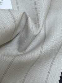 16CN1595 26SS VBC 維塔萊巴貝里斯 Canonico 熱帶[布料] 佳能 更多照片