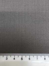 56CN5279 CANONICO(卡諾尼科) PERENNIAL 米色[布料] 佳能 更多照片
